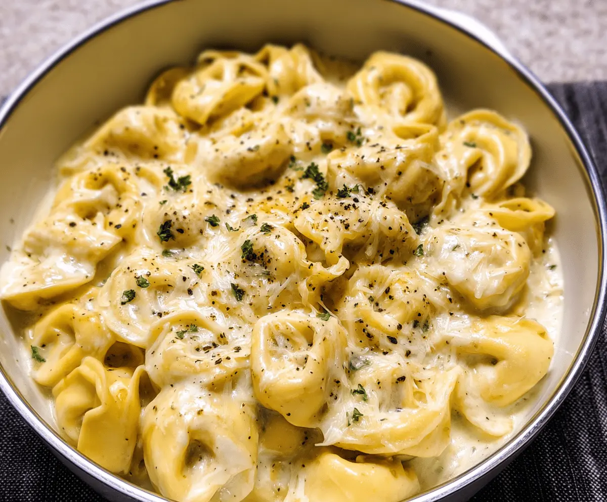 Cheesy Alfredo tortellini