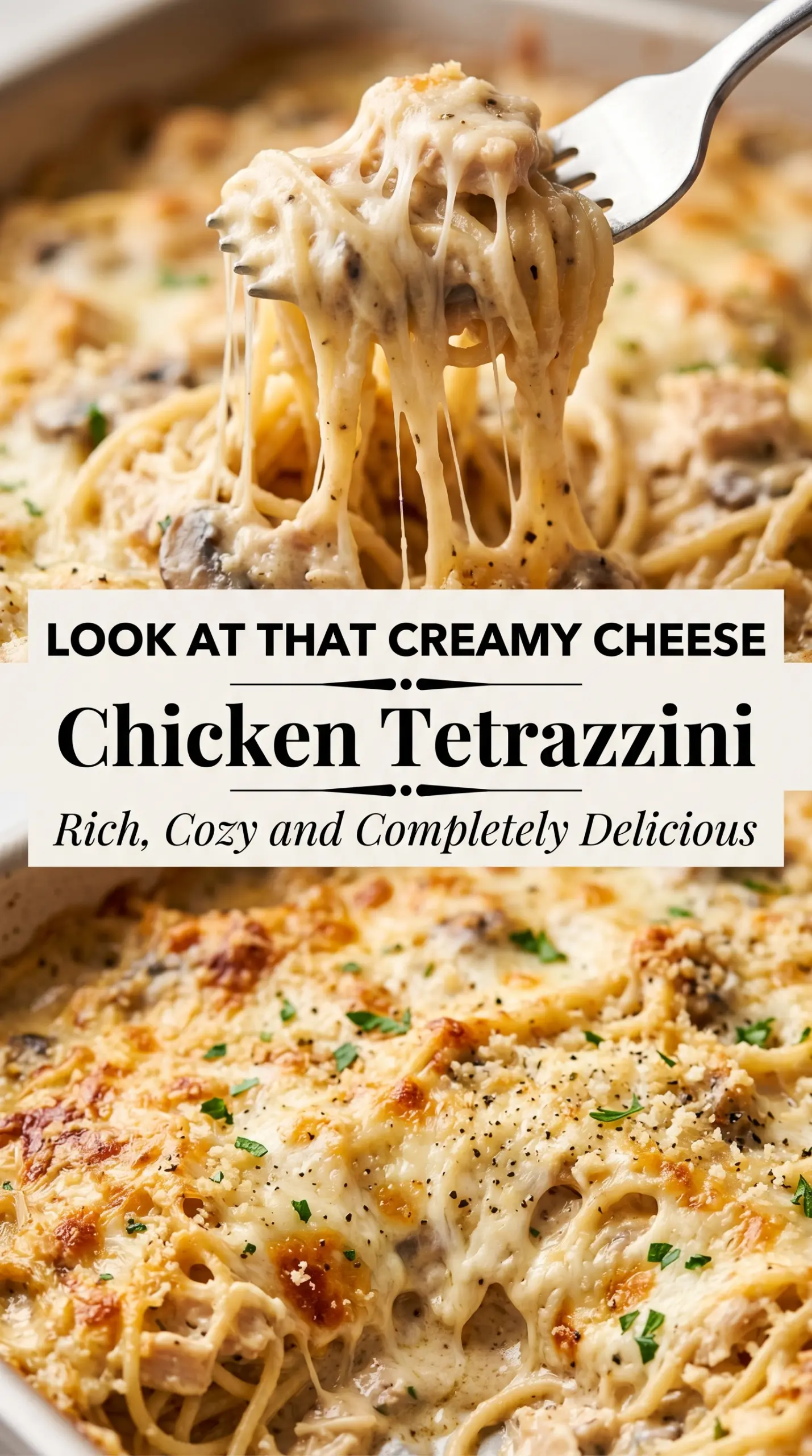 Creamy Chicken Tetrazzini